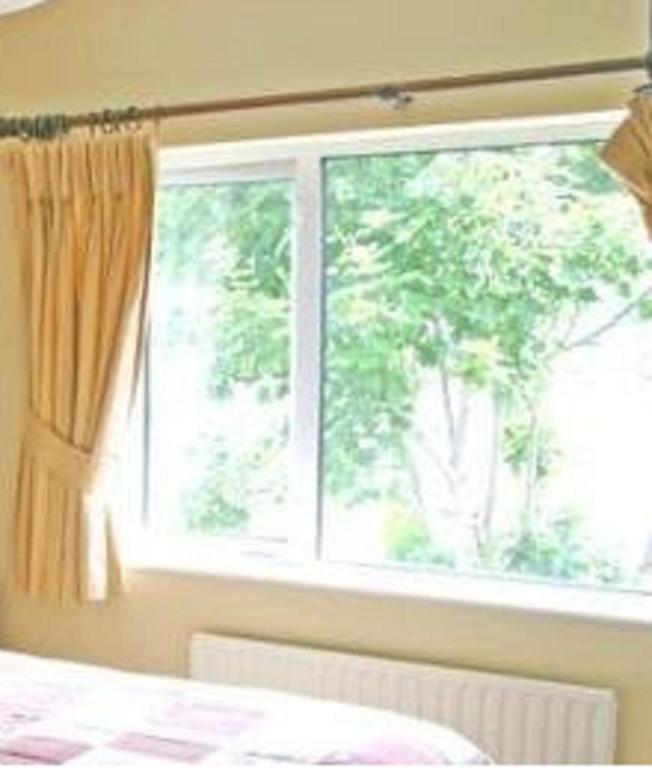 Copper Beech Guest House Galway Rum bild